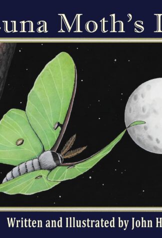 A Luna Moth's Life