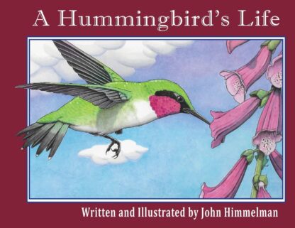 A Hummingbird's Life